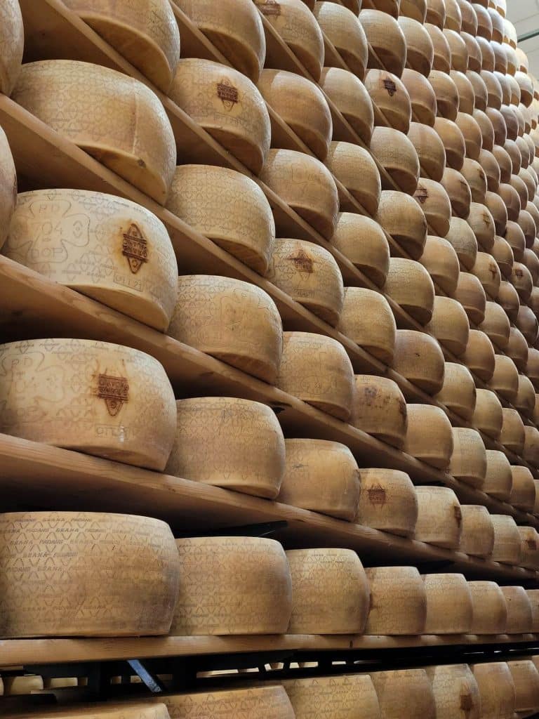 parmigiano-reggiano_wheel